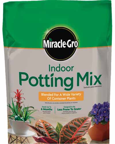 A close up vertical image of a bag of Miracle-Gro Indoor Potting Mix pictured on a white background.
