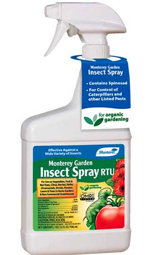 A close up vertical image of a spray bottle of Monterey Garden Insect Spray pictured on a white background.