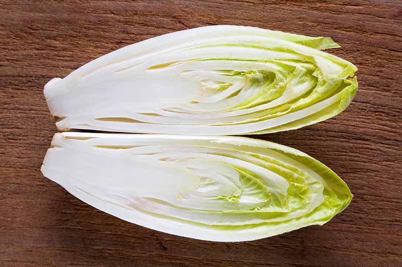A close up horizontal image of a creamy white Belgian endive cut in half set on a wooden surface.