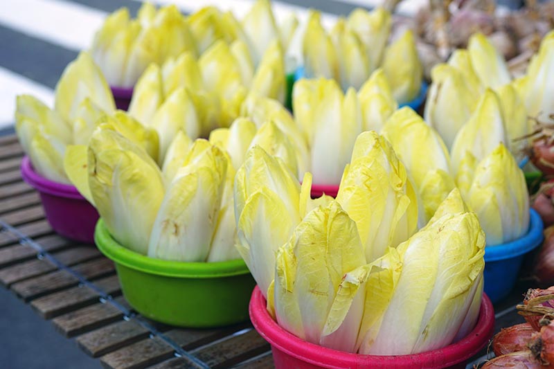 A close up horizontal image of small bowls filled with Belgian endive heads set on a wooden surface at a market.