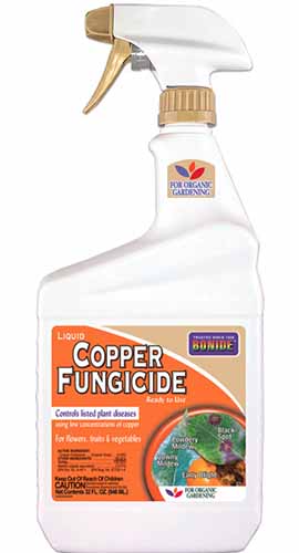A close up vertical image of a ready to spray bottle containing Bonide Copper Fungicide pictured on a white background.