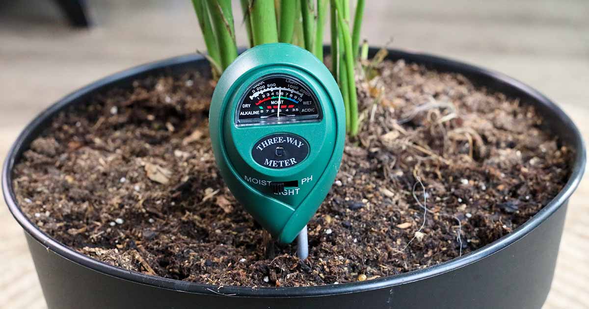 Woodstream wormie the water sensor indoor plants soil moisture tester 