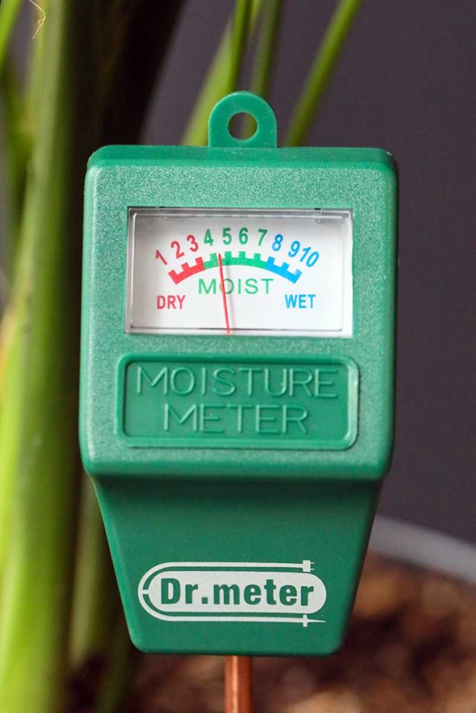 How to Use a Soil Moisture Meter Gardener’s Path