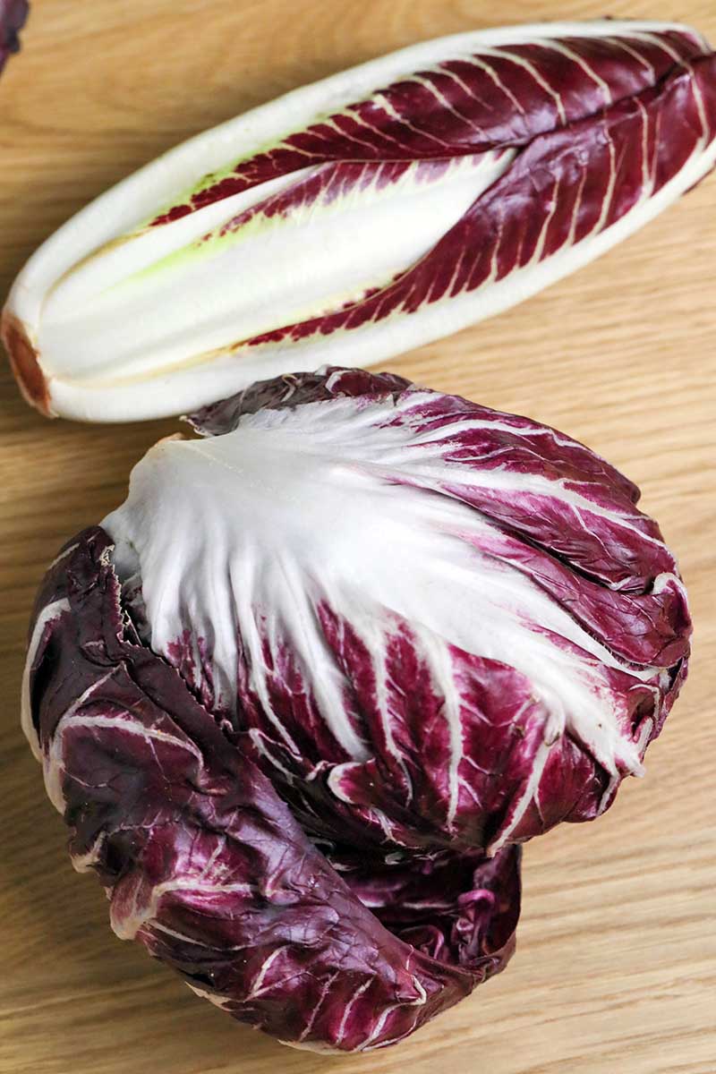 A close up vertical image of two different shaped radicchio heads, to the top of the frame is a torpedo shaped one and at the bottom a rounded variety.