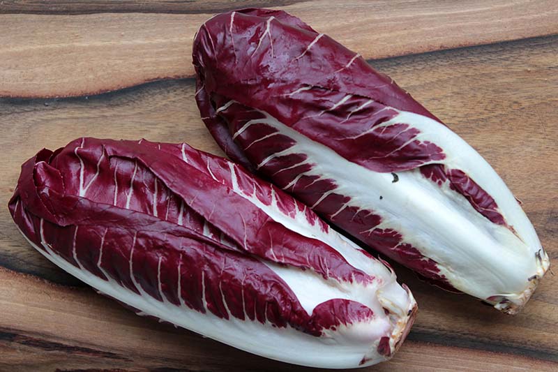 A close up horizontal image of two 'Rosso di Treviso' radicchio heads set on a wooden surface.