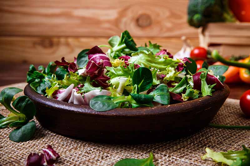 A close up horizontal image of a ceramic bowl with a fresh salad set on a table mat with a wooden wall in the background.