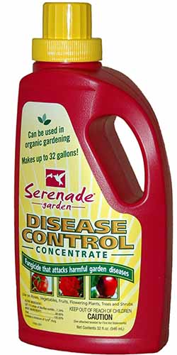 A close up vertical image of the packaging of Serenade Disease Control Concentrate on a white background.