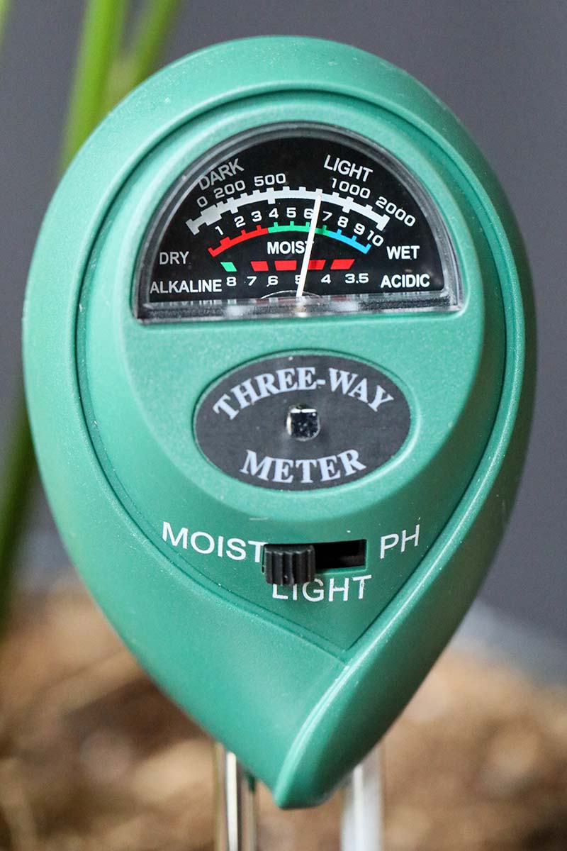 A close up vertical image of a three way hygrometer for testing pH, water, and light levels pictured on a soft focus background.