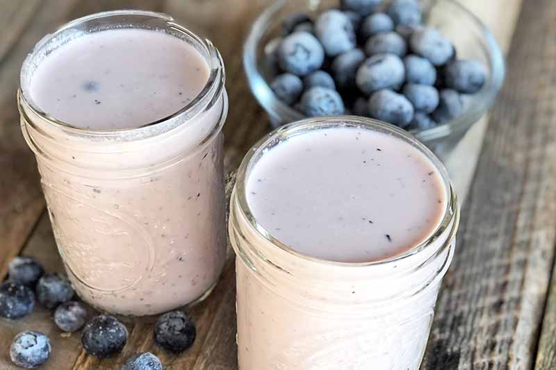 A close up horizontal image of two glasses of freshly made kefir smoothie set on a wooden surface with blueberries in a glass bowl in the background and scattered around.