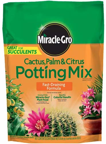 A close up square image of the packaging of Miracle-Gro Cactus, Palm, and Citrus Potting Mix isolated on a white background.