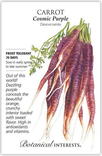 A close up vertical image of a seed packet showing an illustration of 'Cosmic Purple' carrots to the right of the frame with printed text to the top, bottom, and the left.