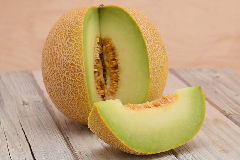 A close up horizontal image of a gallia melon with a slice cut out of it set on a wooden surface pictured on a soft focus background.