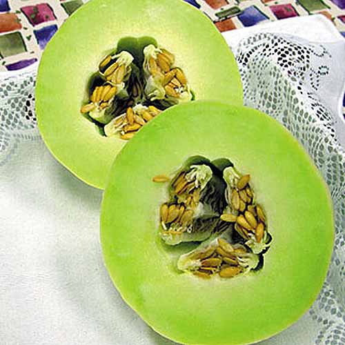 A close up square image of a 'Honeydew Green Flesh' fruit cut in half and set on a white cloth.