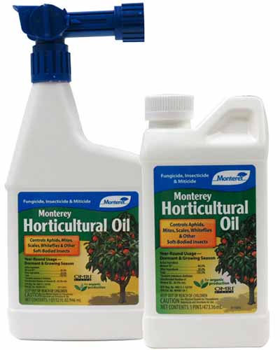 A close up square image of two bottles of Monterey Horticultural Oil isolated on a white background.