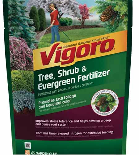 A close up square image of the packaging of Vigoro Tree, Shrub, and Evergreen Fertilizer isolated on a white background.