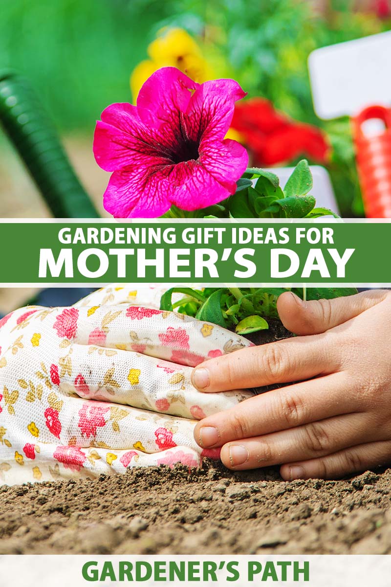 19 of the Best Gardening Gifts for Mother's Day