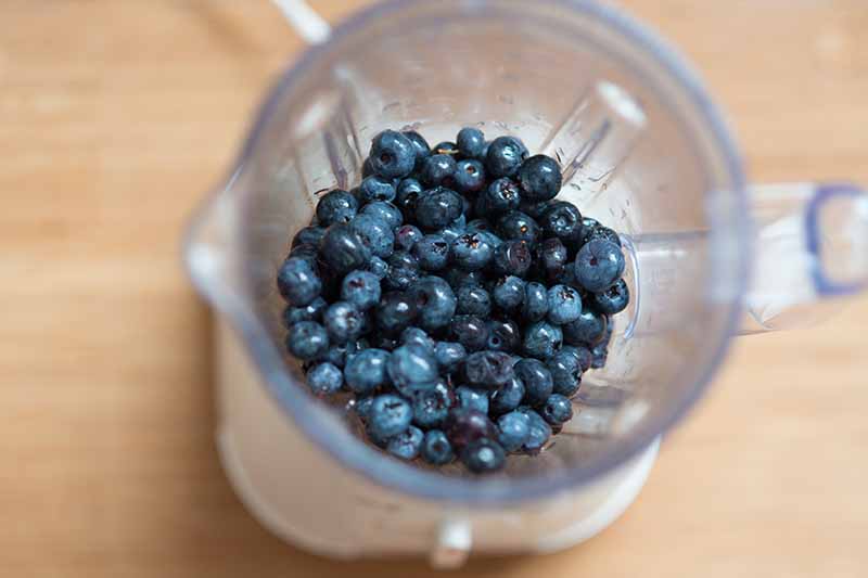 A close up horizontal image of a blender filled halfway with fresh blueberries set on a wooden surface.