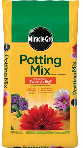 A close up vertical image of Miracle-Gro Potting Mix in a plastic bag isolated on a white background.