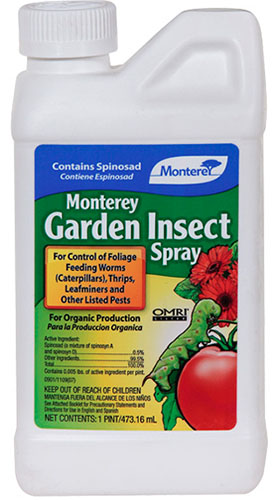 Cận cảnh hình ảnh thẳng đứng của một chai nhựa Monterey Garden Insect Spray bị cô lập trên nền trắng.