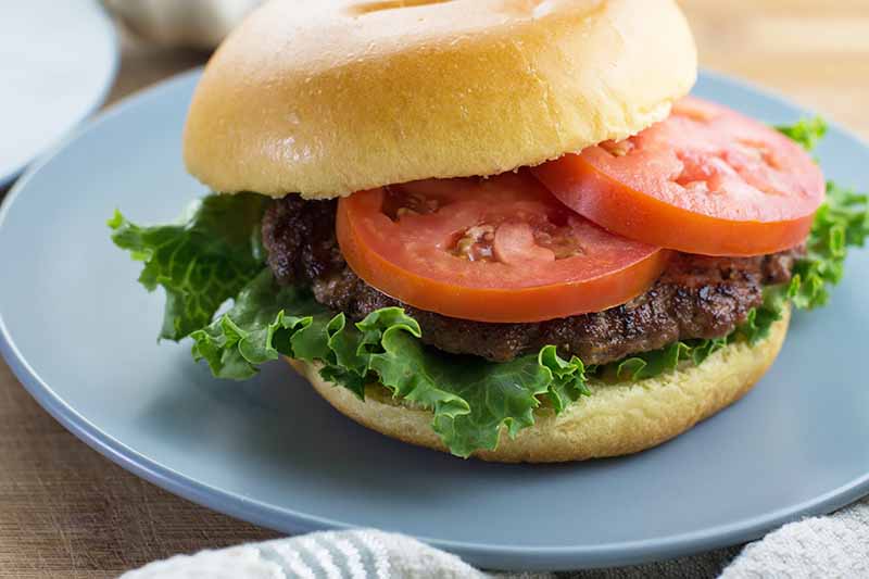 A close up horizontal image of a homemade hamburger with lettuce and tomato set on a blue plate on a wooden surface.