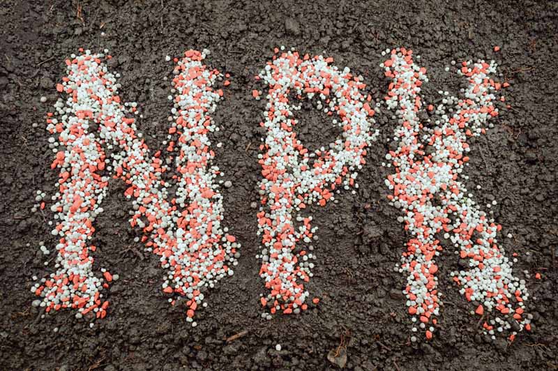 A close up picture of the letters N, P, K spelled out on the soil using orange and white beads.
