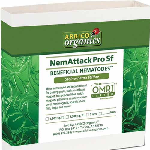 A close up square image of the packaging of NemAttack Steinernema feltiae Beneficial Nematodes isolated on a white background.