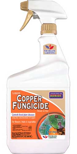 Cận cảnh hình ảnh thẳng đứng của một chai xịt Bonide Copper Fungicide RTU bị cô lập trên nền trắng.