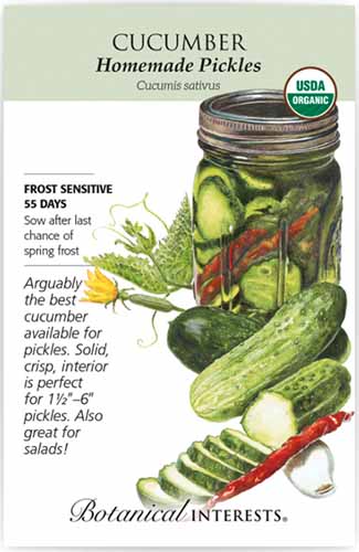 A close up vertical image of a seed packet of 'Homemade PIckles' with text to the left of the frame and an illustration to the right.