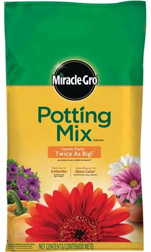 A close up vertical image of the packaging of Miracle-Gro Potting Mix isolated on a white background.