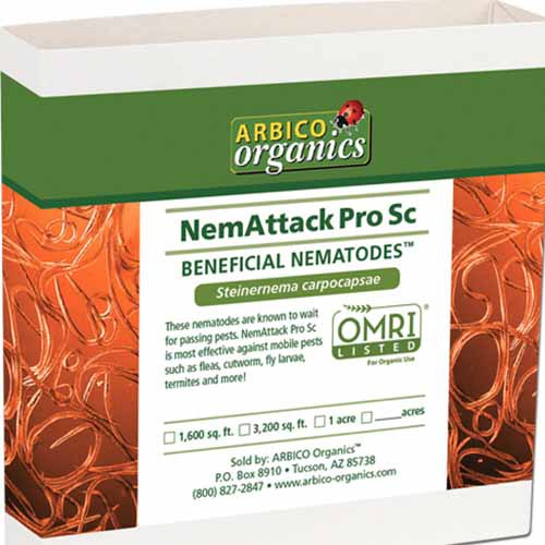 A close up square image of the packaging of NemAttack Pro Sc Beneficial Nematodes isolated on a white background.