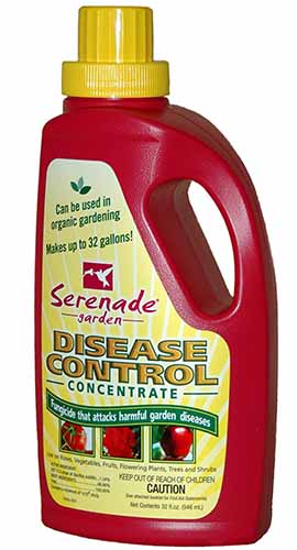 A close up vertical image of the packaging of Serenade Disease Control Concentrate isolated on a white background.