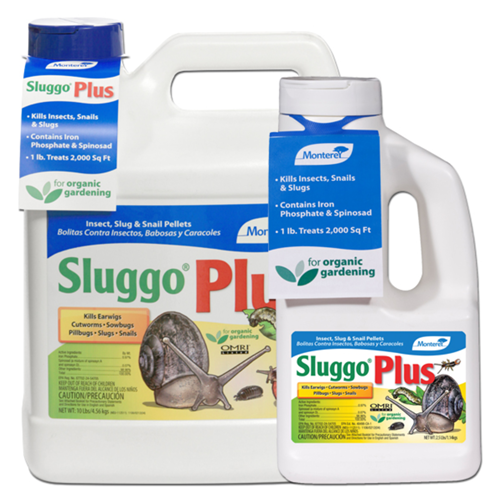 Containers of Sluggo Plus on a white, isolated background.