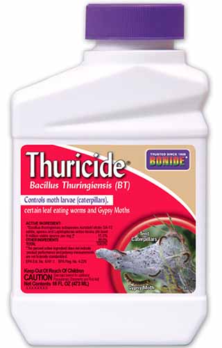 A close up vertical image of the packaging of Bonide Thuricide isolated on a white background.