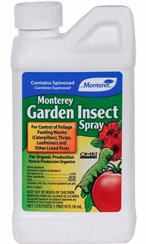 A close up vertical image of the packaging of Monterey Garden Insect Spray isolated on a white background.