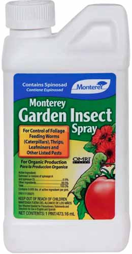 A close up vertical image of the packaging of Monterey Garden Insect Spray isolated on a white background.