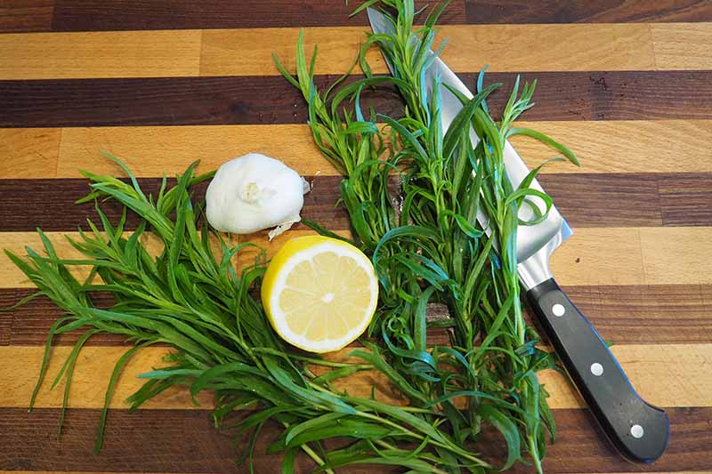 A close up horizontal image of freshly harvested tarragon set on a striped wooden chopping board with a clove of garlic, half a lemon, and a metal knife.