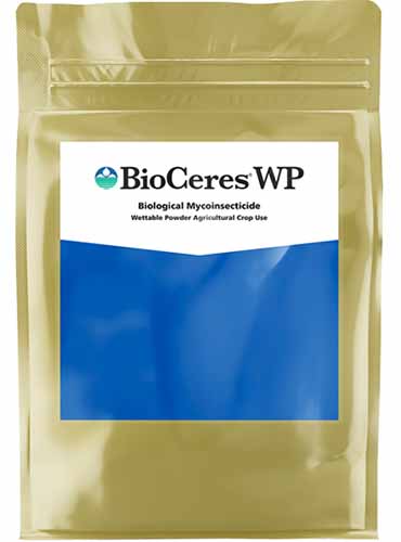 A close up vertical image of the packaging of BioCeres WP isolated on a white background.
