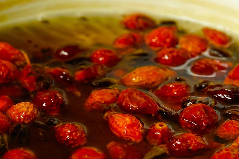 A close up horizontal image of rose hips stewing in a saucepan pictured on a soft focus background.
