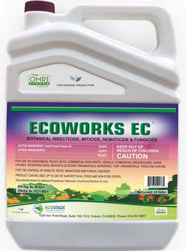 A close up square image of a plastic bottle of EcoWorks EC botanical insecticide isolated on a white background.