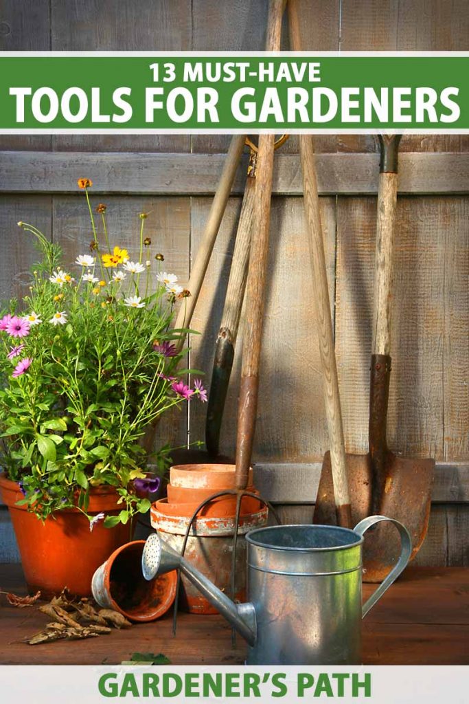 A close up vertical image of a selection of garden tools with a potted plant and a metal watering can in a wooden shed. To the top and bottom of the frame is green and white printed text.