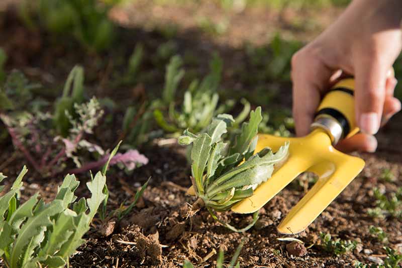 3-Way Rear Trigger Nozzle Basics Garden Tool Collection 
