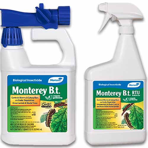A close up square image of two bottles of Monterey Bt garden insect spray isolated on a white background.