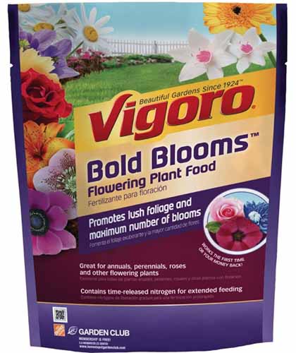 A close up square image of the packaging of Vigoro Bold Blooms Flowering Plant Food isolated on a white background.