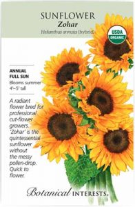 Solutions for SunflowersThat Droop | Gardener’s Path