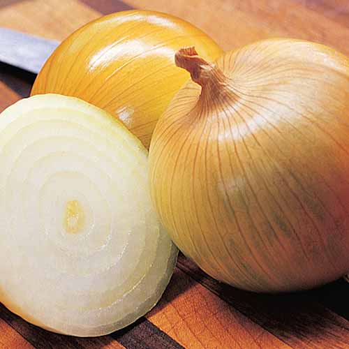 A close up square image of whole and sliced onions set on a wooden surface.