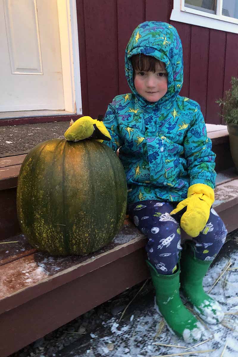 A close up vertical image of a child sitting on a step outside a home with a large green pumpkin.