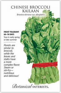 How to Grow Chinese Broccoli | Gardener’s Path