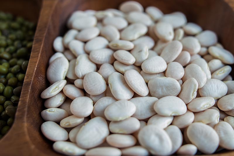 A close up horizontal image of dried butter beans in a wooden container.