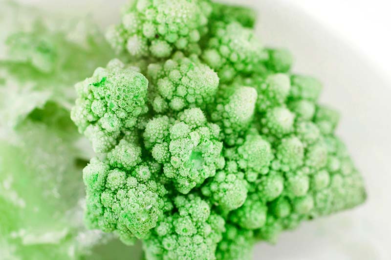 A close up horizontal image of frozen Romanesco broccoli on a soft focus background.