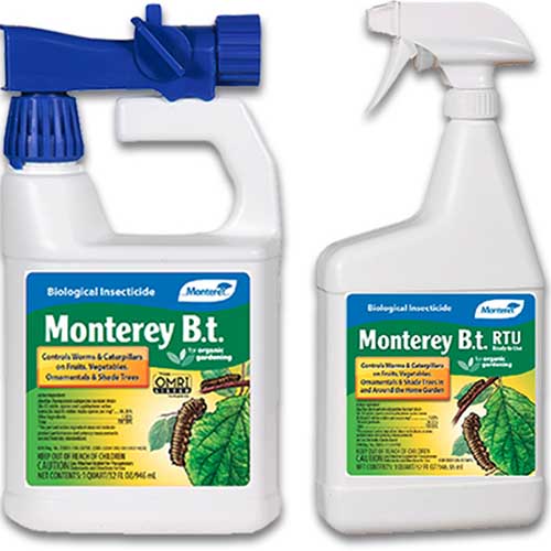 A close up square image of two bottles of Monterey Bt Ready to Use isolated on a white background.